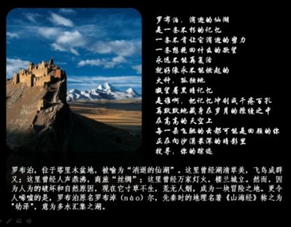攀枝花精准助力企业发展